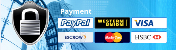 Optfocus FTTH Optical Line Terminal 4 PON 8 Ports 4 Ports 16ports MA5608t OLT 8